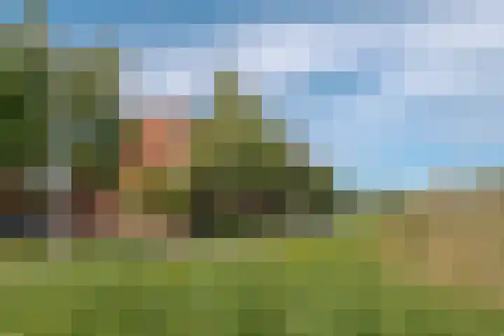 Twistvlietpad 111 Zwolle thumbnail 53