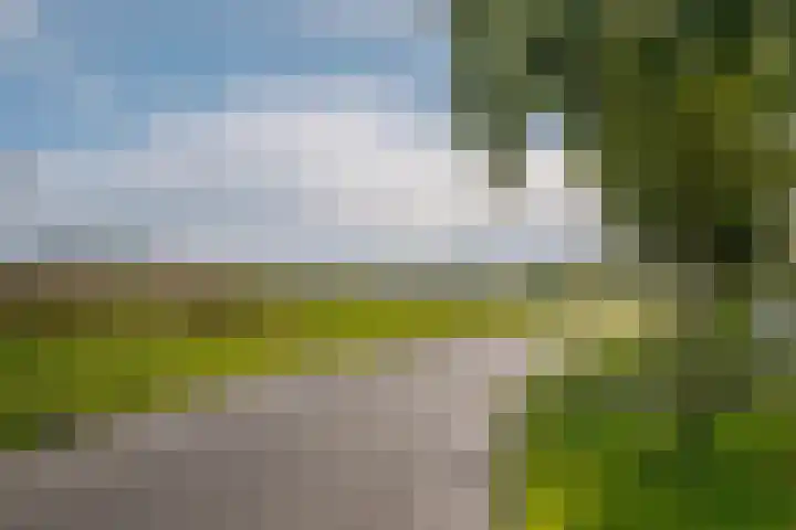 Twistvlietpad 111 Zwolle thumbnail 54