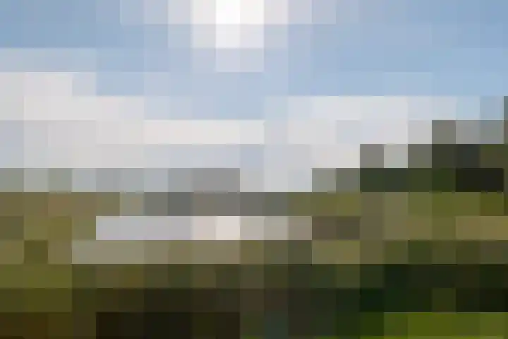 Twistvlietpad 111 Zwolle thumbnail 56