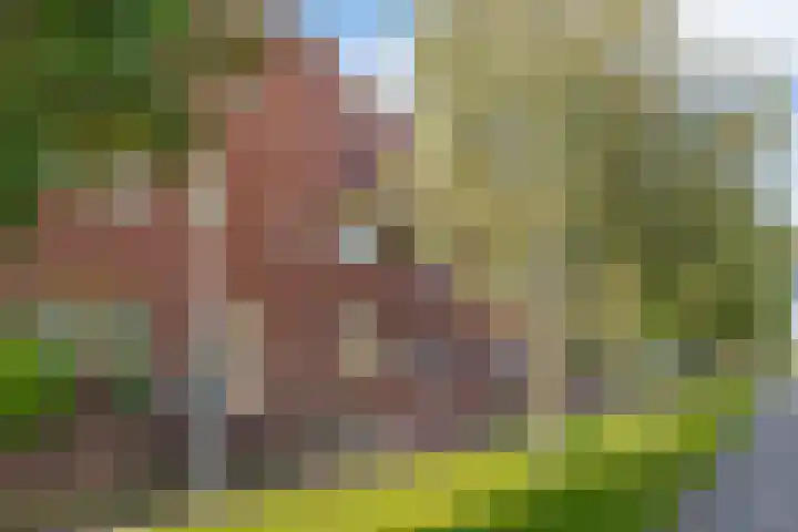 Twistvlietpad 111 Zwolle thumbnail 7