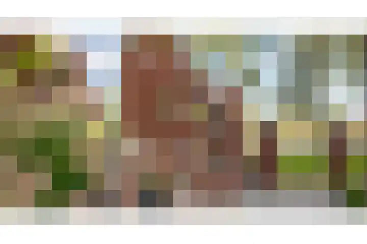 Twistvlietpad 111 Zwolle thumbnail 8