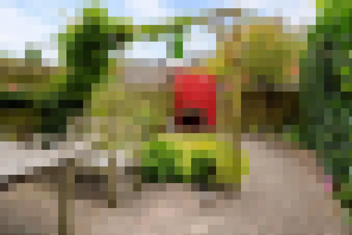 Twistvlietpad 143 Zwolle thumbnail 35