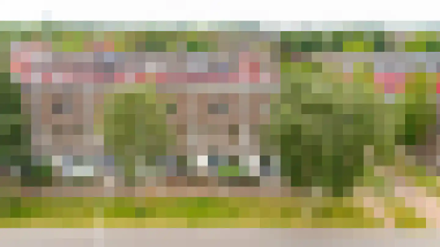 Twistvlietpad 143 Zwolle thumbnail 44