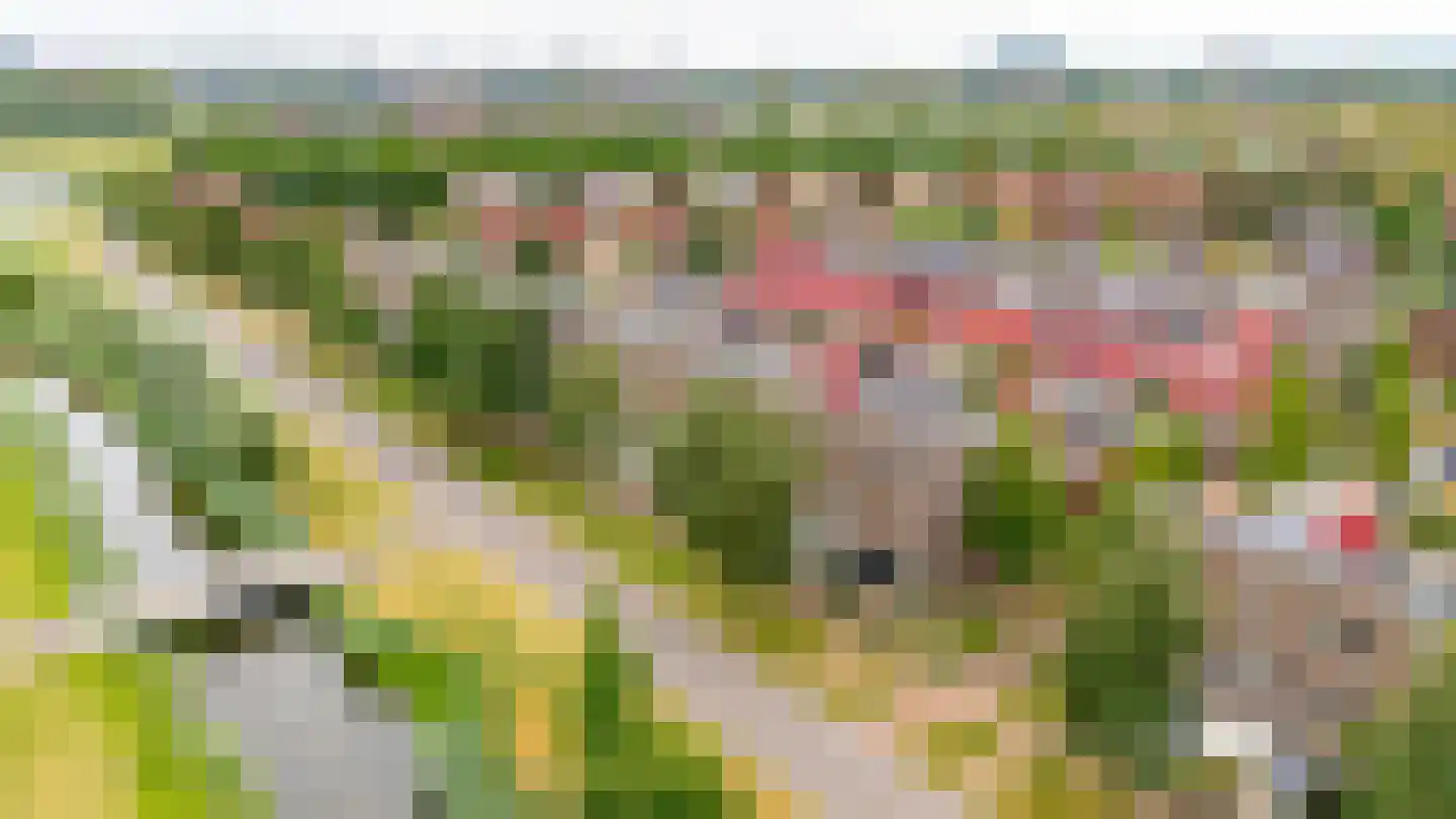 Twistvlietpad 143 Zwolle thumbnail 45