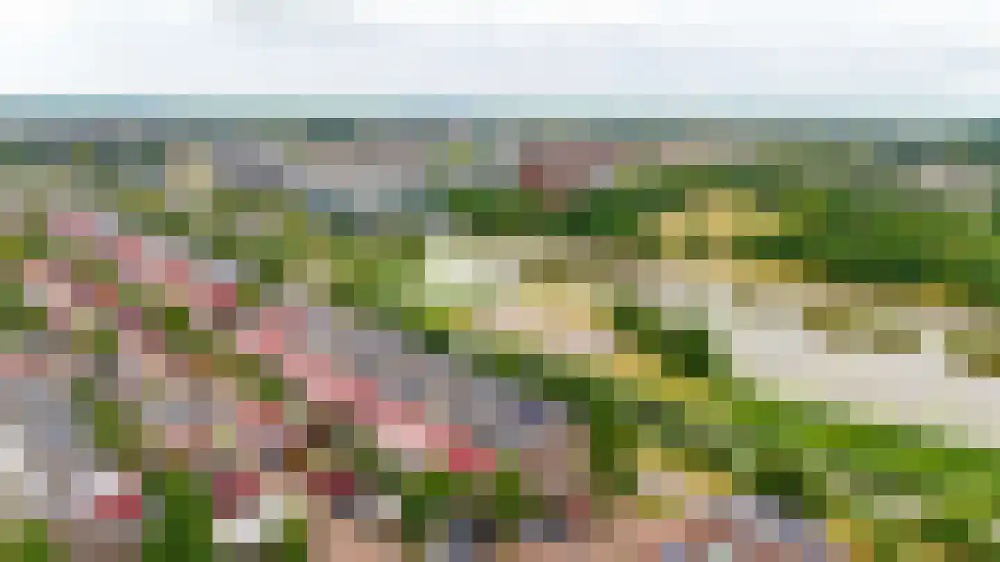 Twistvlietpad 143 Zwolle thumbnail 46