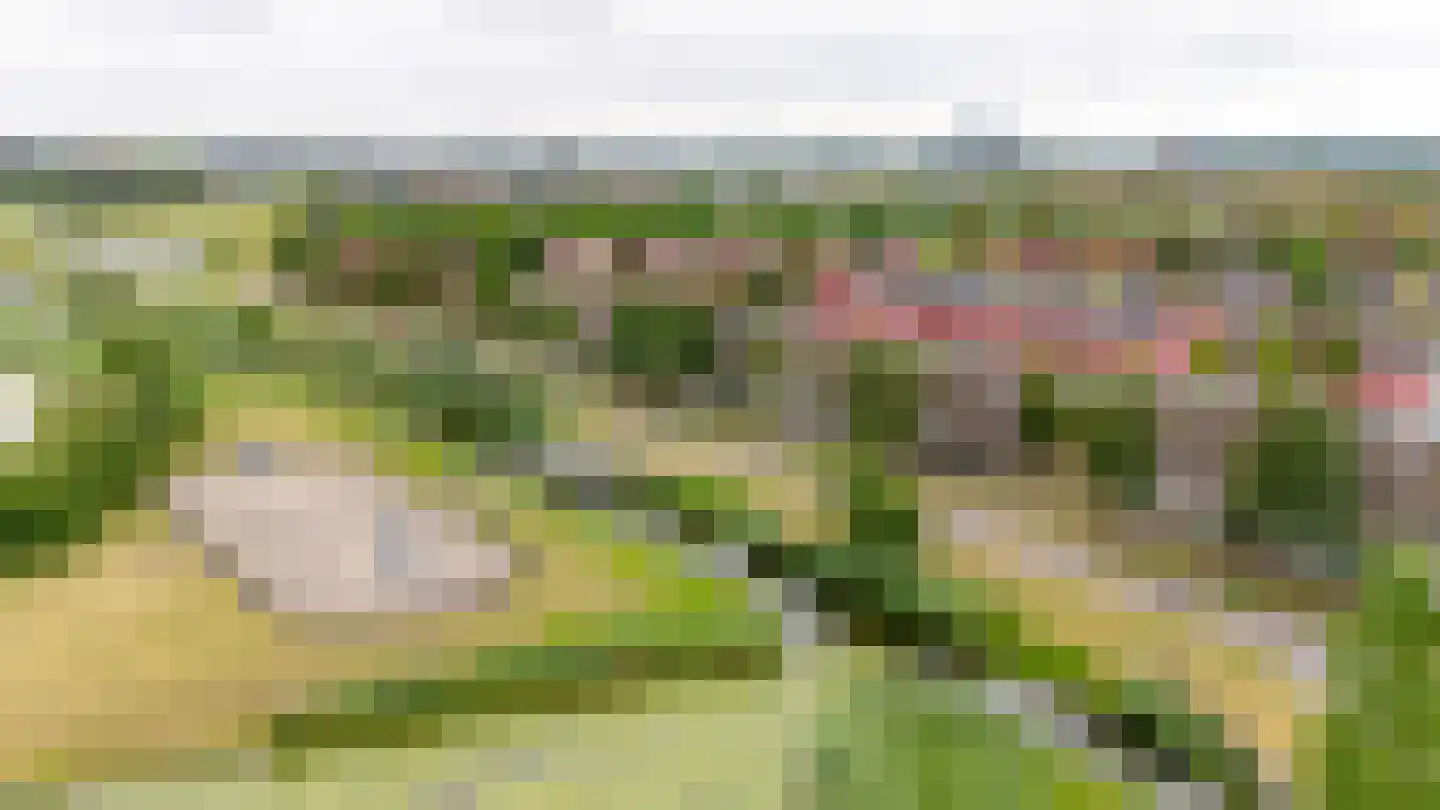 Twistvlietpad 143 Zwolle thumbnail 52