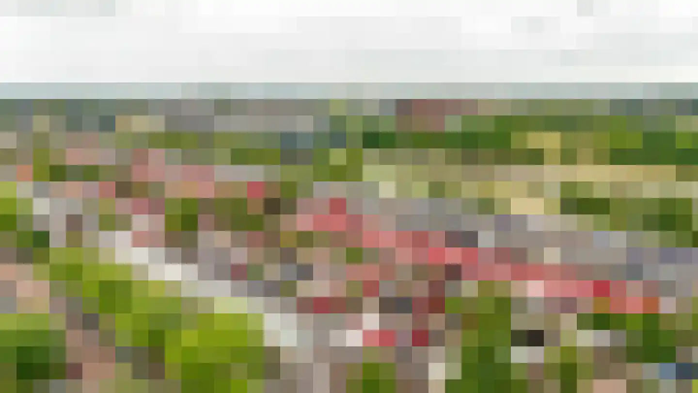 Twistvlietpad 143 Zwolle thumbnail 53