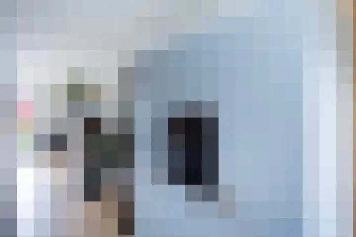 Twistvlietpad 165 Zwolle thumbnail 10