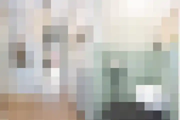 Twistvlietpad 165 Zwolle thumbnail 11