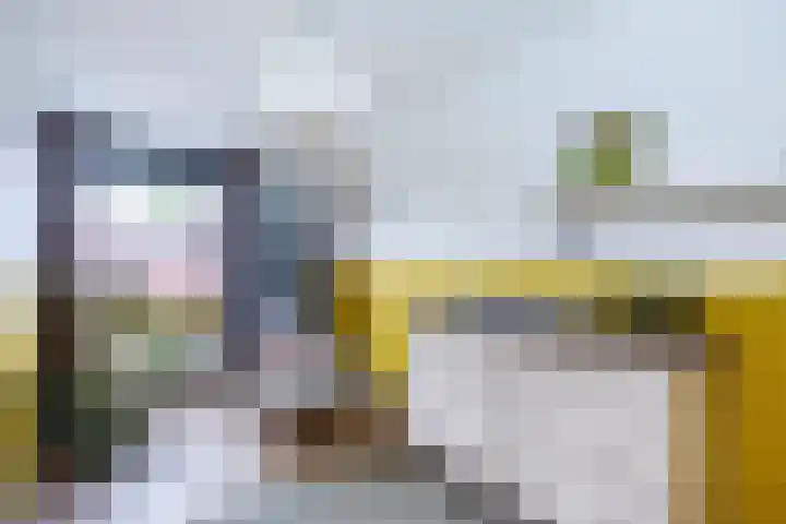 Twistvlietpad 165 Zwolle thumbnail 17