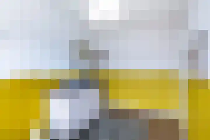 Twistvlietpad 165 Zwolle thumbnail 18