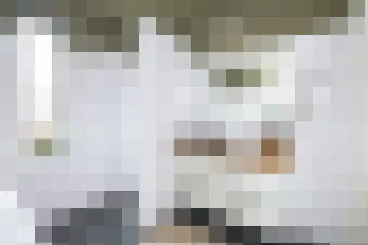 Twistvlietpad 165 Zwolle thumbnail 20