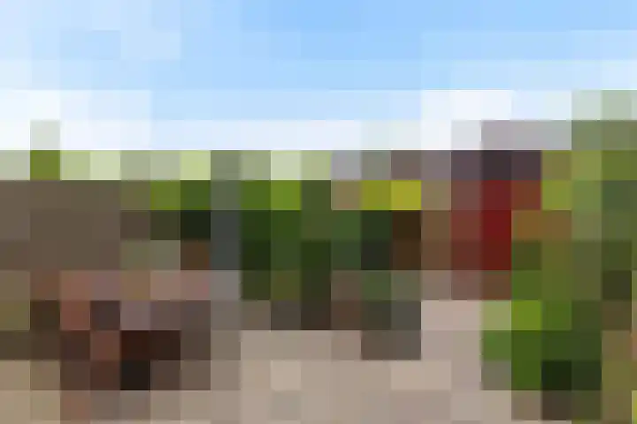 Twistvlietpad 165 Zwolle thumbnail 27