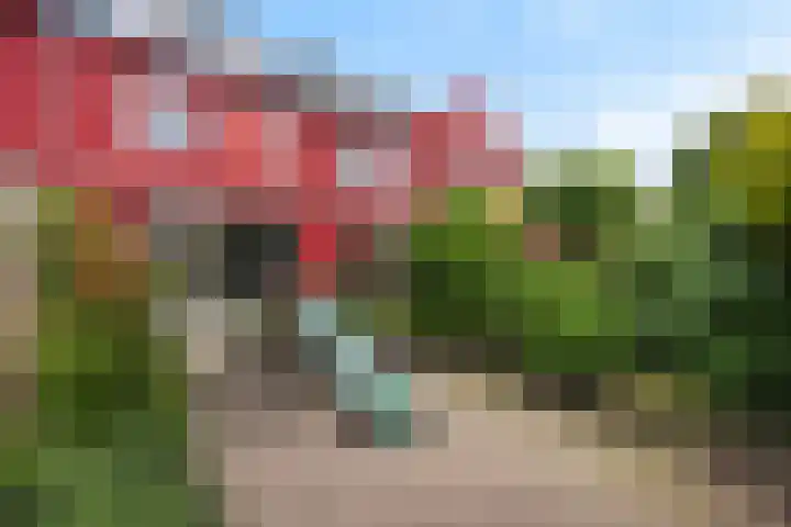 Twistvlietpad 165 Zwolle thumbnail 28