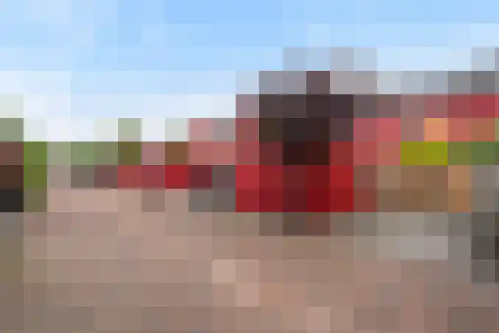 Twistvlietpad 165 Zwolle thumbnail 29