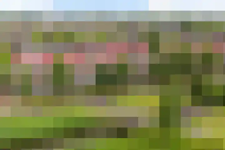 Twistvlietpad 165 Zwolle thumbnail 31