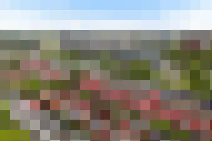 Twistvlietpad 165 Zwolle thumbnail 32