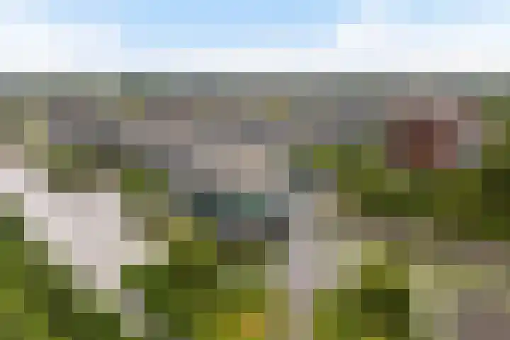 Twistvlietpad 165 Zwolle thumbnail 33