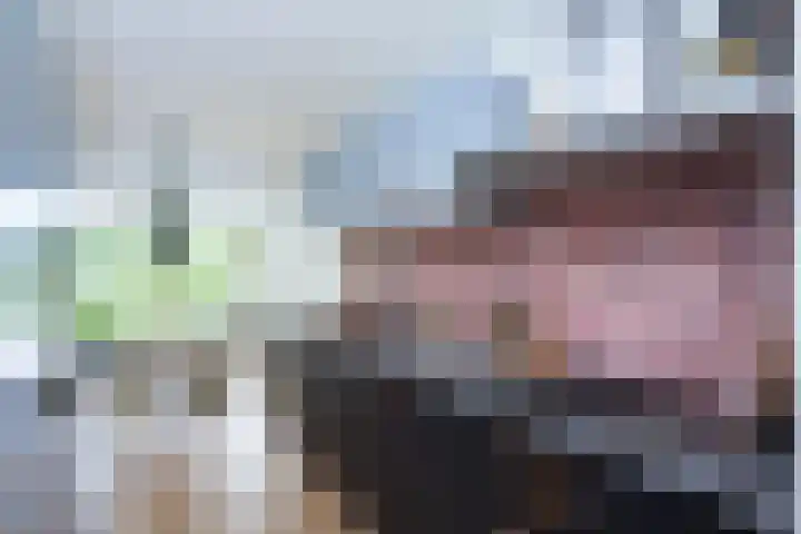 Twistvlietpad 165 Zwolle thumbnail 7