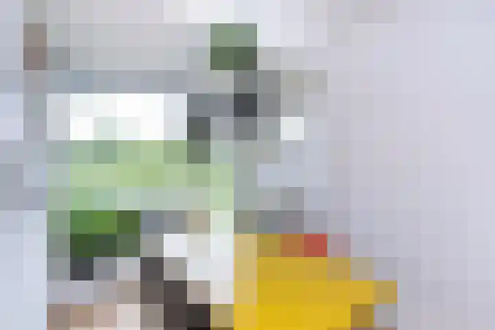 Twistvlietpad 165 Zwolle thumbnail 8