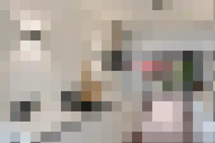 Twistvlietpad 171 Zwolle thumbnail 11