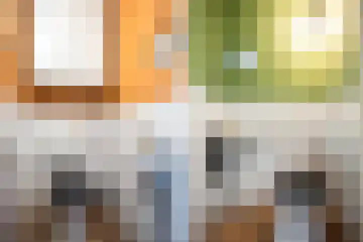Twistvlietpad 171 Zwolle thumbnail 14
