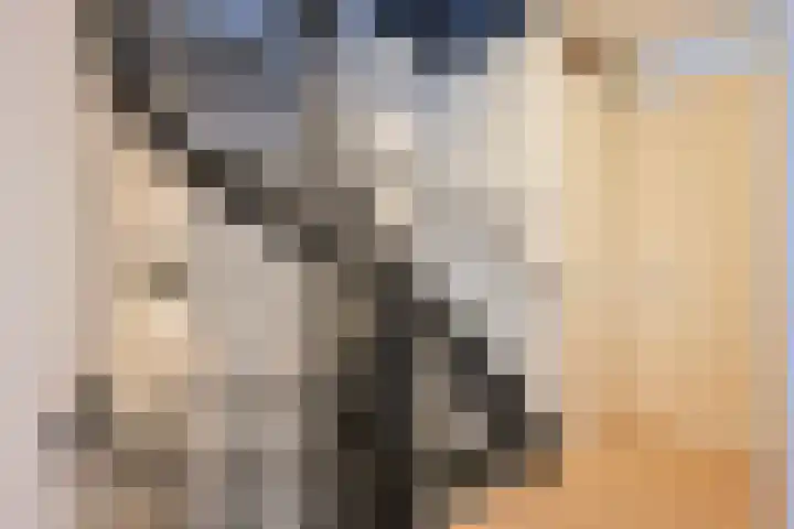 Twistvlietpad 171 Zwolle thumbnail 15
