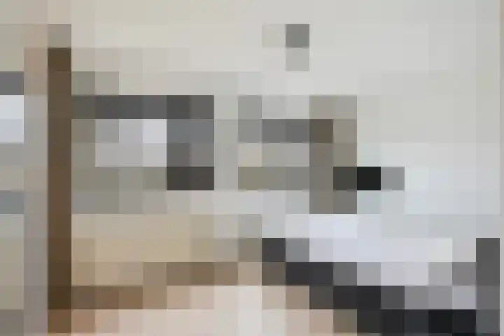 Twistvlietpad 171 Zwolle thumbnail 16