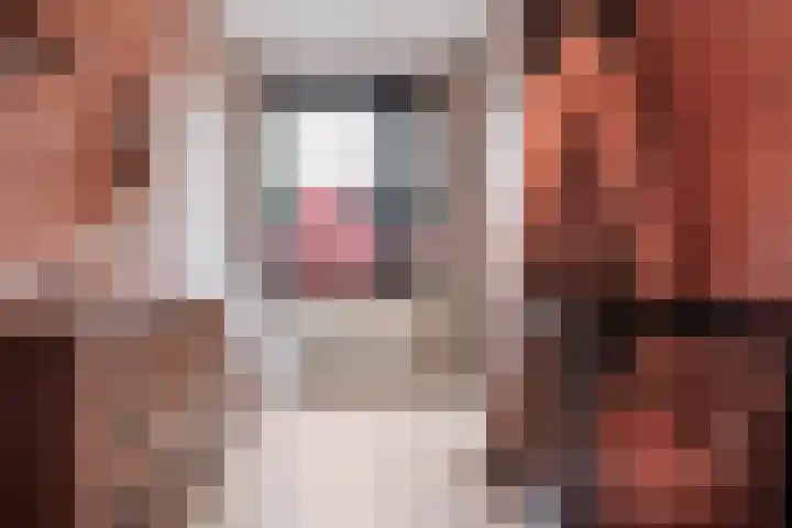 Twistvlietpad 171 Zwolle thumbnail 19
