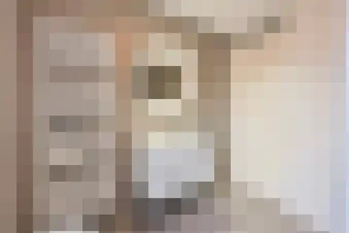 Twistvlietpad 171 Zwolle thumbnail 21