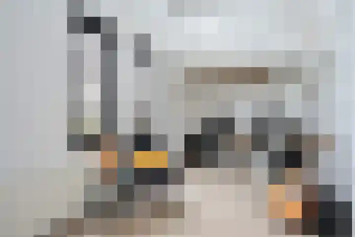 Twistvlietpad 171 Zwolle thumbnail 23