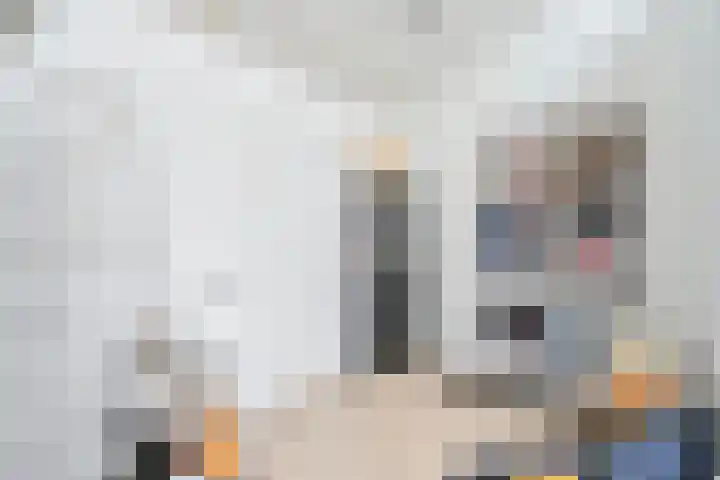 Twistvlietpad 171 Zwolle thumbnail 24