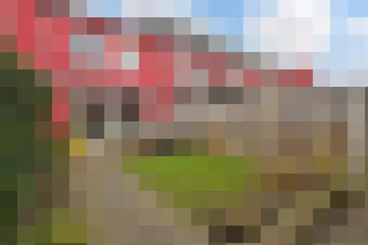 Twistvlietpad 171 Zwolle thumbnail 26