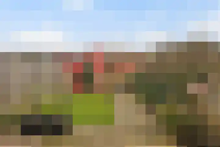 Twistvlietpad 171 Zwolle thumbnail 27