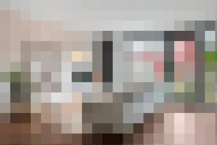 Twistvlietpad 171 Zwolle thumbnail 4