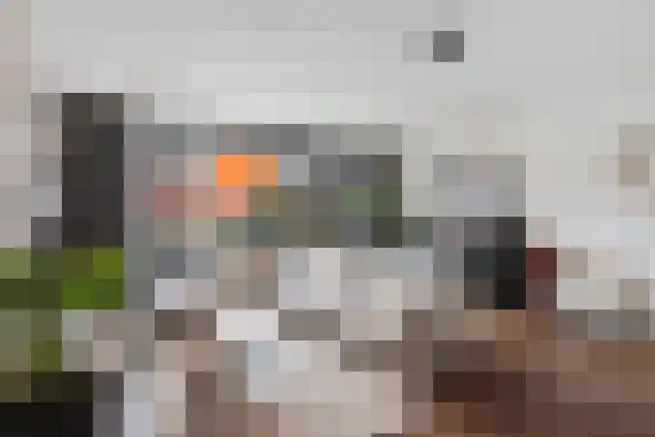 Twistvlietpad 171 Zwolle thumbnail 5