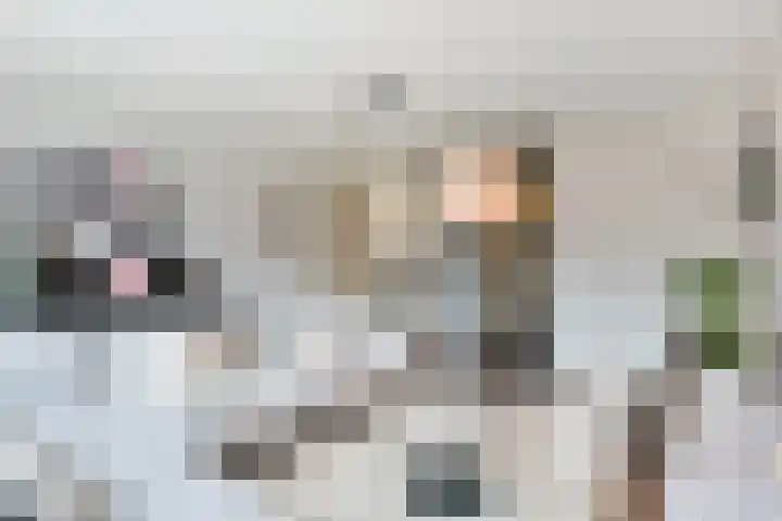 Twistvlietpad 171 Zwolle thumbnail 6