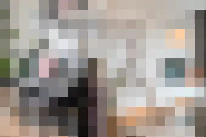 Twistvlietpad 171 Zwolle thumbnail 7
