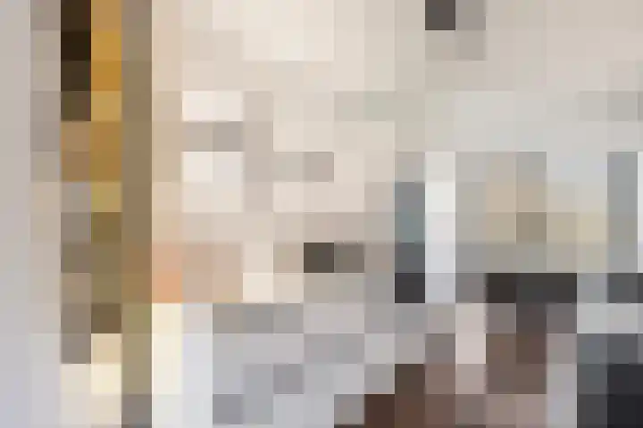 Twistvlietpad 171 Zwolle thumbnail 9