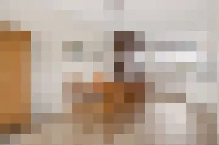 Twistvlietpad 21 Zwolle thumbnail 15