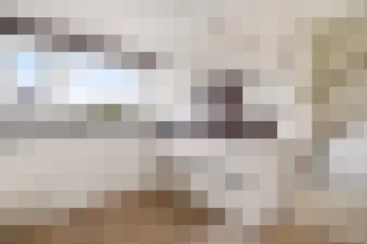 Twistvlietpad 21 Zwolle thumbnail 20
