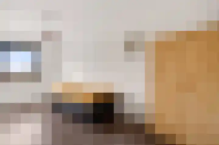 Twistvlietpad 21 Zwolle thumbnail 24