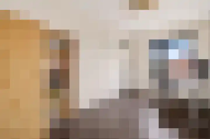 Twistvlietpad 21 Zwolle thumbnail 26