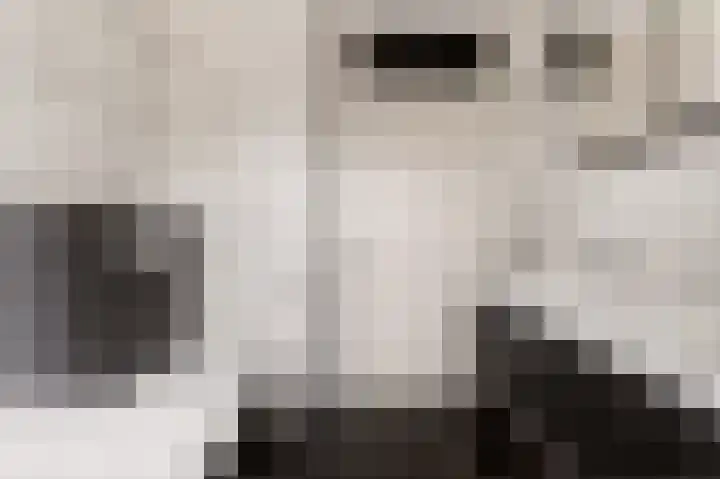 Twistvlietpad 21 Zwolle thumbnail 29