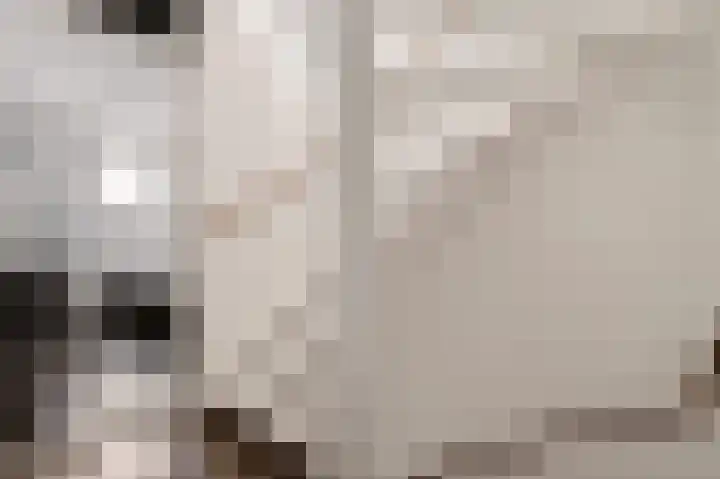 Twistvlietpad 21 Zwolle thumbnail 31