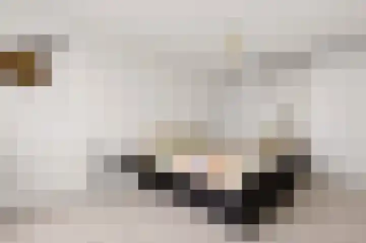 Twistvlietpad 21 Zwolle thumbnail 32