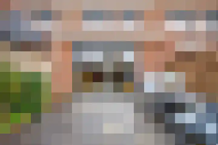 Twistvlietpad 21 Zwolle thumbnail 38