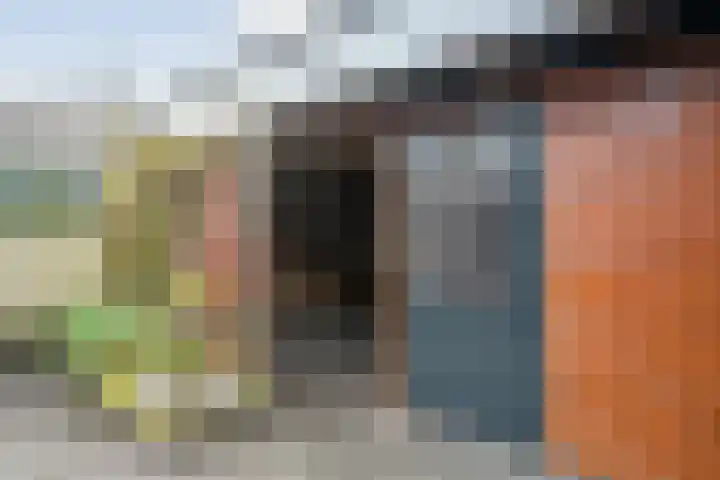 Twistvlietpad 21 Zwolle thumbnail 41