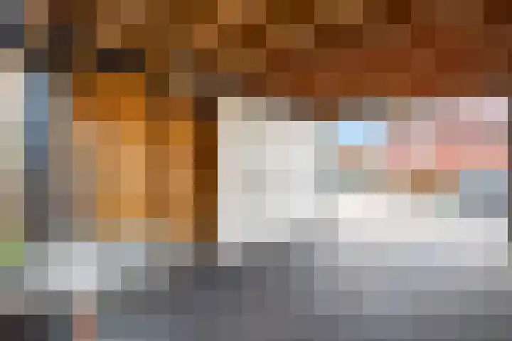 Twistvlietpad 21 Zwolle thumbnail 42