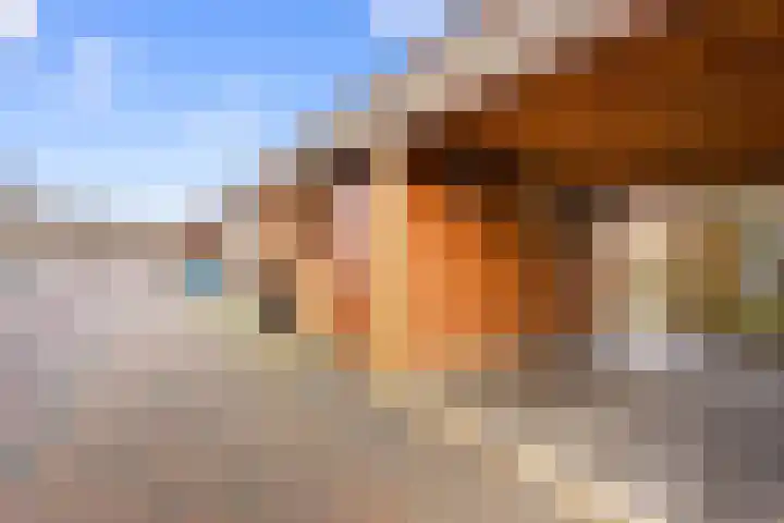 Twistvlietpad 21 Zwolle thumbnail 44